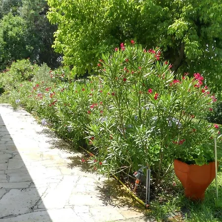 Maison Chaleureuse Verdon-sur-mer, Jardin